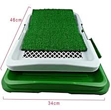 Tapete Entrenador Para Mascotas