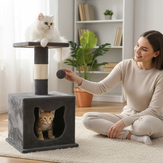 Gimnasio Rascador Mascotas Gatos Juguete